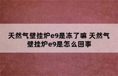 天然气壁挂炉e9是冻了嘛 天然气壁挂炉e9是怎么回事